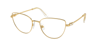 Оправа Swarovski  0SK1007/4004 
