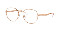 Оправа Ray-Ban  0RX6517D/3094 