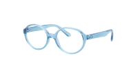 Оправа Ray-Ban  0RY1905/3981 