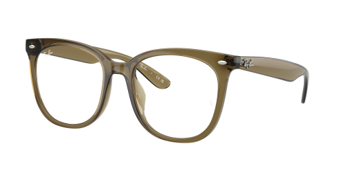 Оправа Ray-Ban  0RX4379VD/8445 