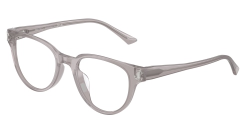 Оправа JIMMY CHOO  0JC3051D/5096 