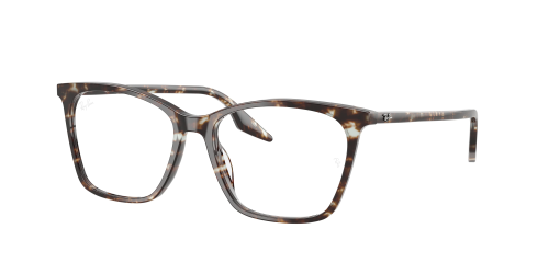 Оправа Ray-Ban  0RX5422/8425 