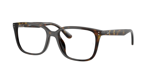 Оправа Ray-Ban  0RX7248D/2012 