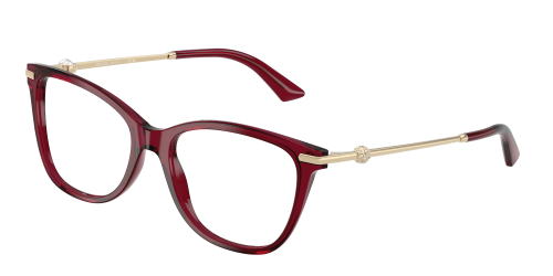 Оправа JIMMY CHOO  0JC3007HB/5062 