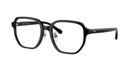 Оправа Ray-Ban  0RX5424D/2000 