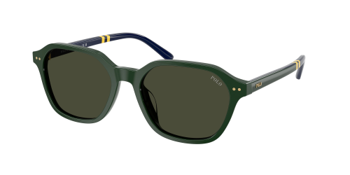 Солнцезащитные очки Polo Ralph Lauren 0PH4234U/614082 