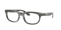 Оправа Ray-Ban  0RX5489/8400 