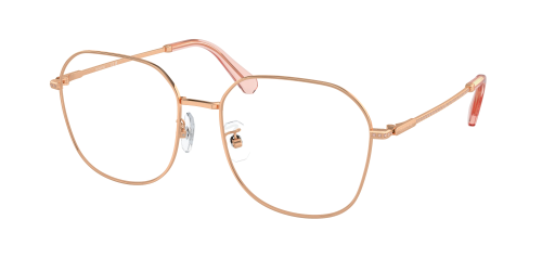 Оправа Swarovski  0SK1009D/4014 