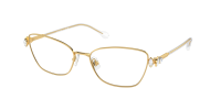 Оправа Swarovski  0SK1006/4013 