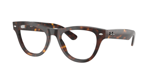 Оправа Ray-Ban  0RX5510/2012 