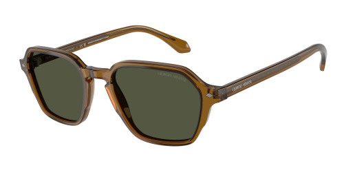Солнцезащитные очки Giorgio Armani 0AR8220/617231 