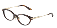 Оправа JIMMY CHOO  0JC3029D/5002 