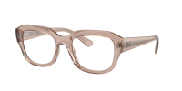 Оправа Ray-Ban  0RX7225/8317 