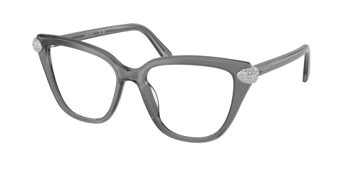Оправа Swarovski 0SK2045/1072