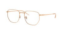 Оправа Ray-Ban  0RX8776D/1248 