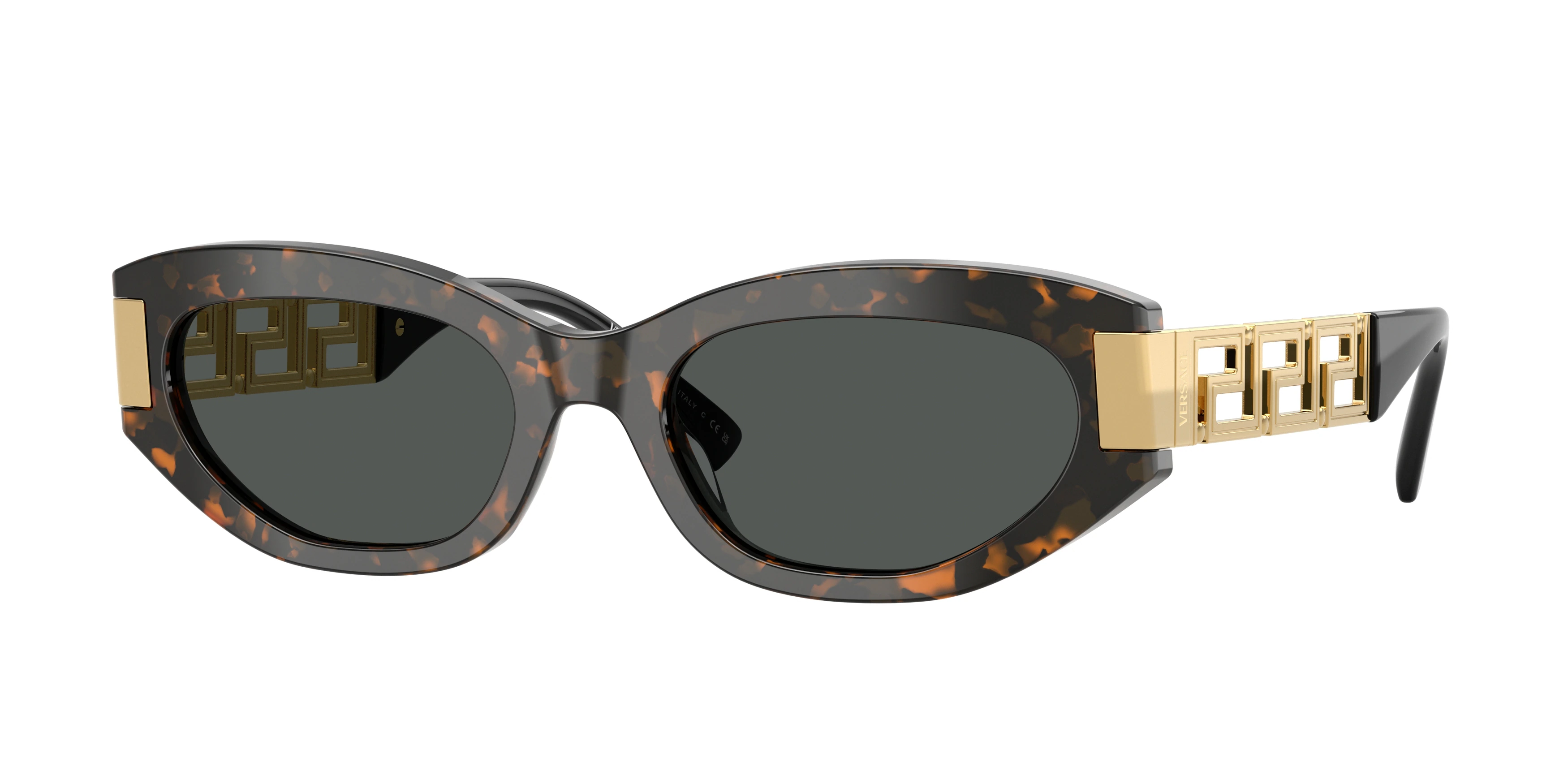 Солнцезащитные очки Versace 0VE4501 
