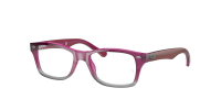 Оправа Ray-Ban  0RY1531/3648 