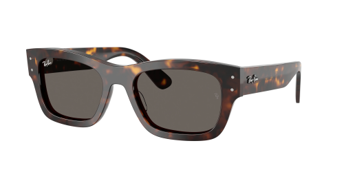 Солнцезащитные очки Ray-Ban 0RB7683S/902/B1 