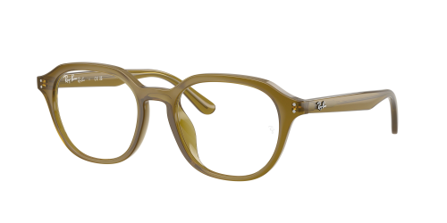 Оправа Ray-Ban  0RX7259D/8437 