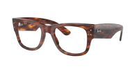 Оправа Ray-Ban  0RX0840V/2144 