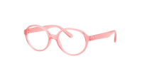 Оправа Ray-Ban  0RY1905/3982 