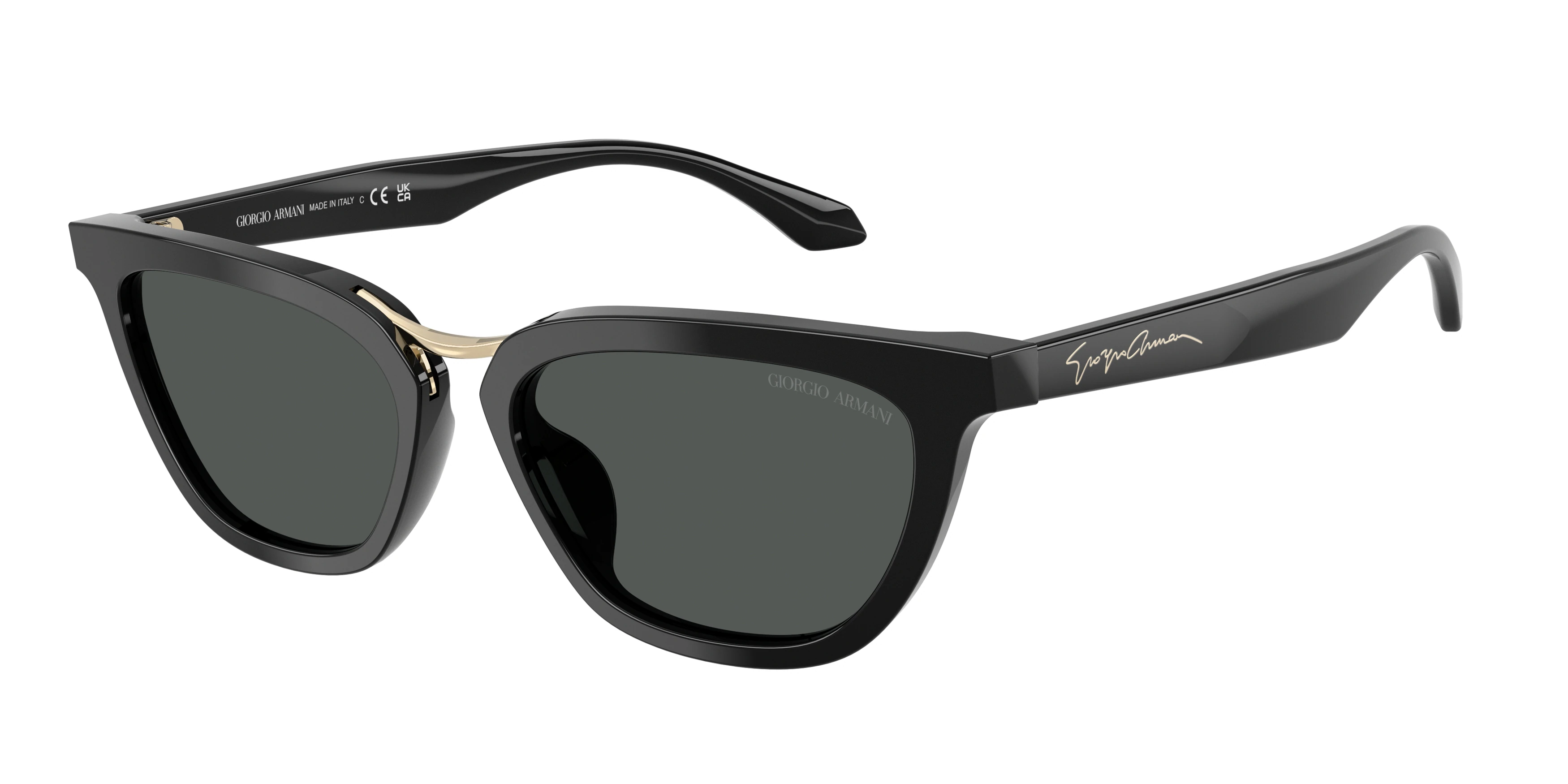 Солнцезащитные очки Giorgio Armani 0AR8253U 