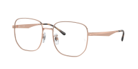 Оправа Ray-Ban  0RX6503D/2943 
