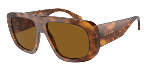 Солнцезащитные очки Giorgio Armani 0AR8183/598833 