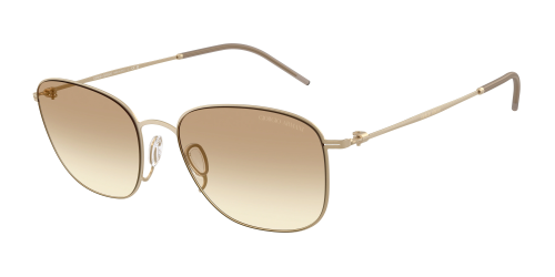 Солнцезащитные очки Giorgio Armani 0AR6168/300213 