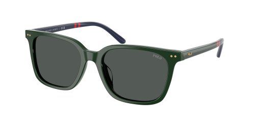 Солнцезащитные очки Polo Ralph Lauren 0PH4235U/614087 
