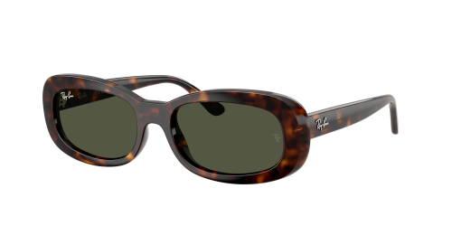 Солнцезащитные очки Ray-Ban 0RB2221/902/31 