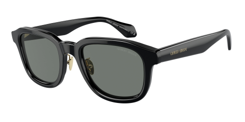Солнцезащитные очки Giorgio Armani 0AR8206/6060/1 