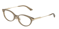 Оправа JIMMY CHOO  0JC3029D/5051 