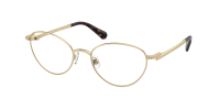 Оправа Swarovski  0SK1002/4013 
