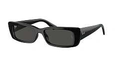 Солнцезащитные очки Ray-Ban 0RB4425/667787 