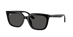 Солнцезащитные очки Ray-Ban 0RB4439D/710/87 