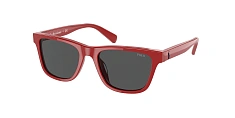 Солнцезащитные очки Polo Ralph Lauren 0PP9504U/525787 