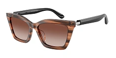 Солнцезащитные очки Emporio Armani 0EA4250U/62672C 
