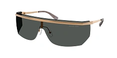 Солнцезащитные очки Michael Kors 0MK1169/10027P 