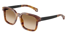 Солнцезащитные очки Moncler 0ME6006/30103C 