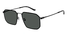 Солнцезащитные очки Emporio Armani 0EA2165D/300213