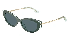 Солнцезащитные очки JIMMY CHOO 0JC5065U/510387 