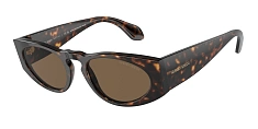 Солнцезащитные очки Giorgio Armani 0AR8216/612473 