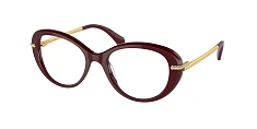 Оправа Swarovski  0SK2001/1027 