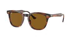 Солнцезащитные очки Ray-Ban 0RB2298/954/33 