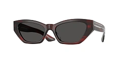 Солнцезащитные очки Oliver Peoples 0OV5582SU/176073 