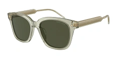 Солнцезащитные очки Giorgio Armani 0AR8210U/608331 