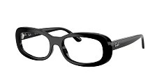 Оправа Ray-Ban 0RX2221V/2000