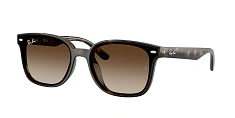 Солнцезащитные очки Ray-Ban 0RB4461D/659373