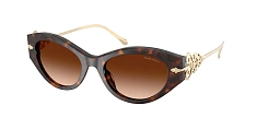 Солнцезащитные очки Ralph Lauren 0RL8227U/500374 